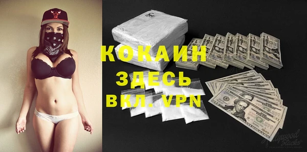 прущие грибы Каменногорск