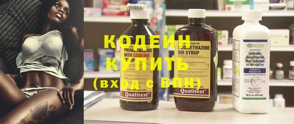 прущие крисы Бородино