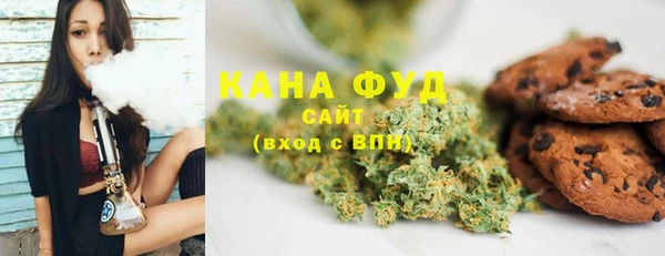 мдпв Михайловск