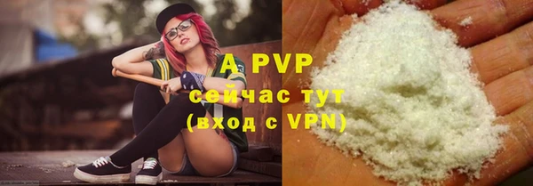 молекула духа Надым
