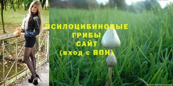 мдпв Михайловск
