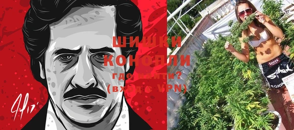 apvp Михайлов