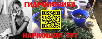 ПСИЛОЦИБИНОВЫЕ ГРИБЫ Бийск