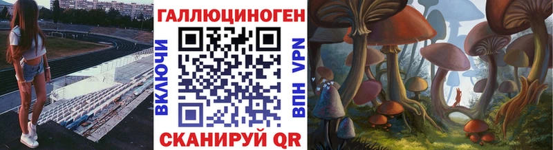 Галлюциногенные грибы GOLDEN TEACHER цены Кыштым