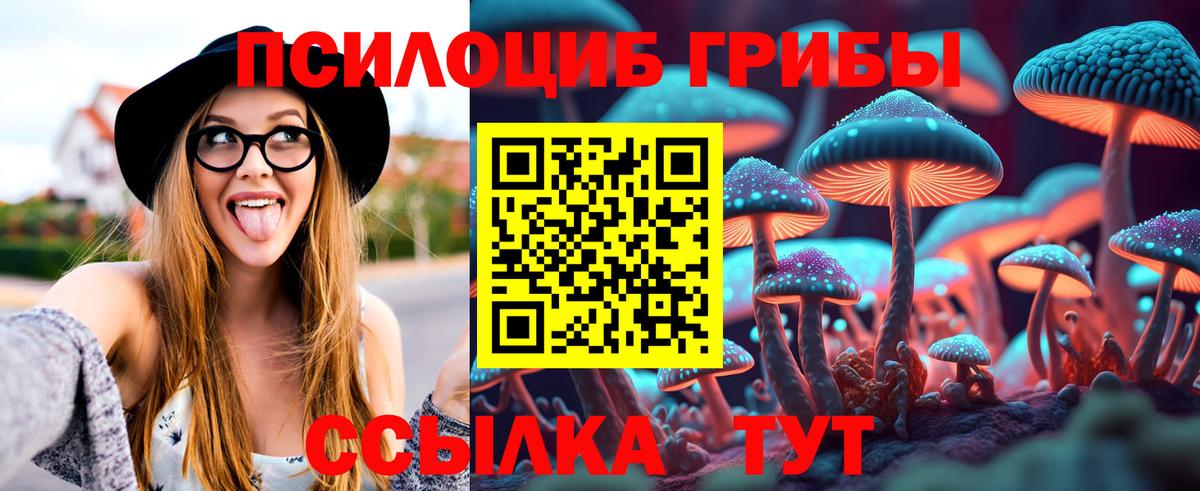 Псилоцибиновые грибы Psilocybine cubensis Кыштым